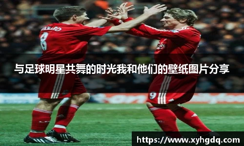 mk体育官方网站